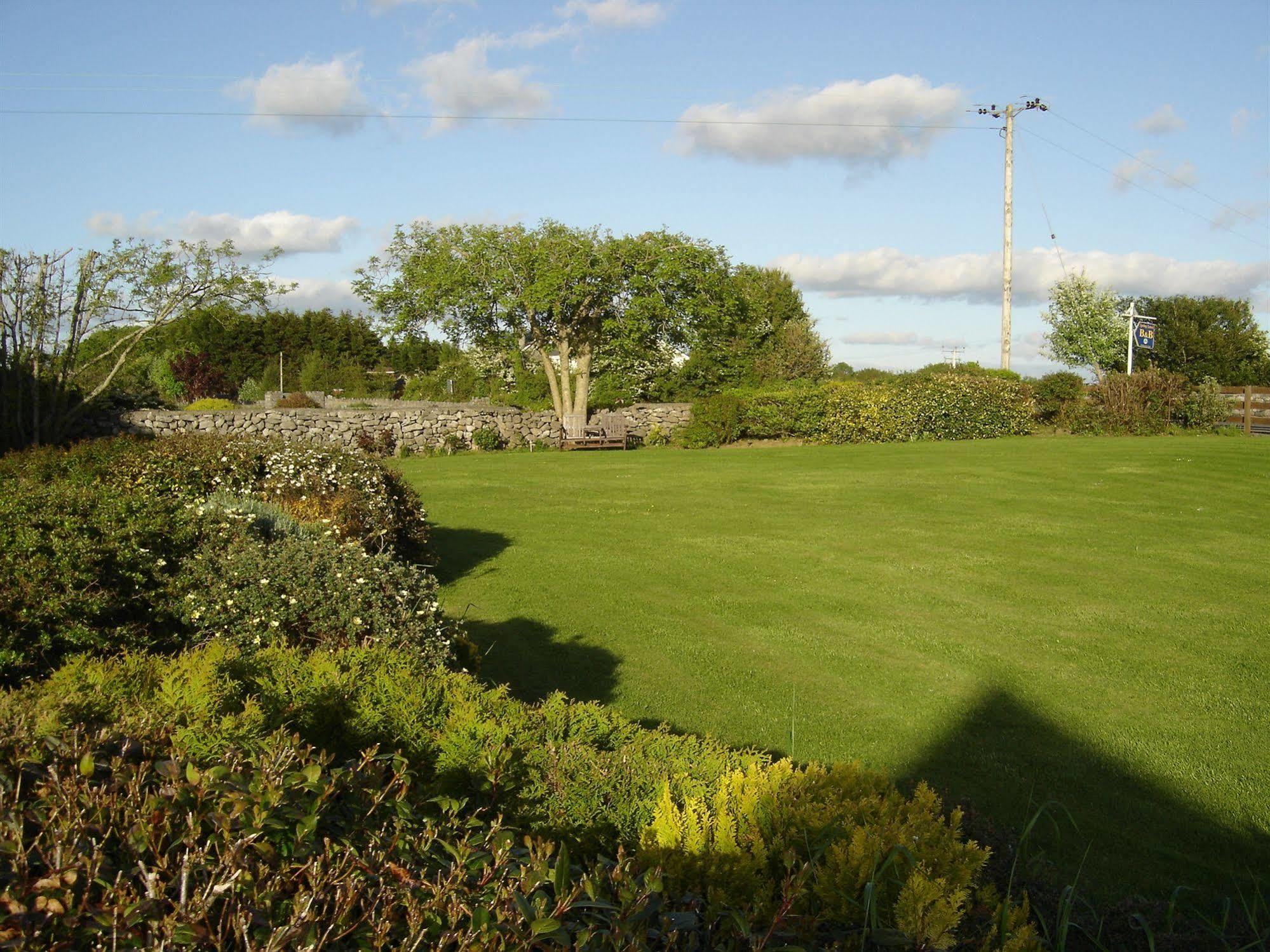 Bed and breakfast Springlawn Clarinbridge
